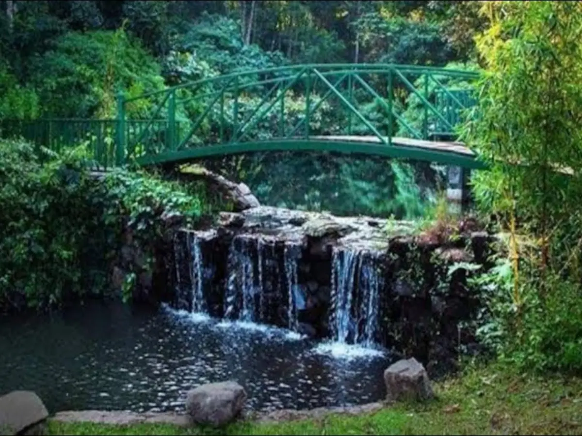 Coorg, Karnataka