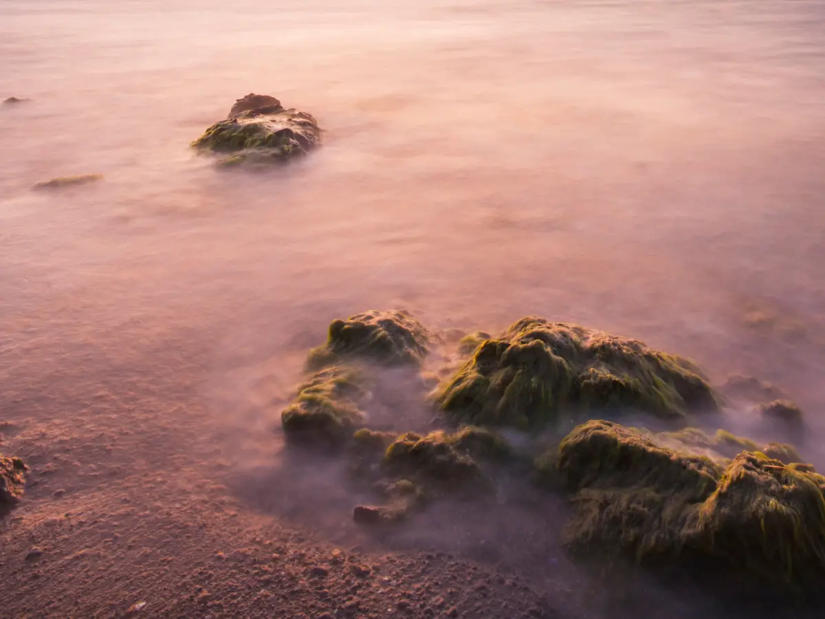 Sea of Galilee Turns Red Due to Algae Bloom in Israel