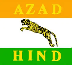 INA flag