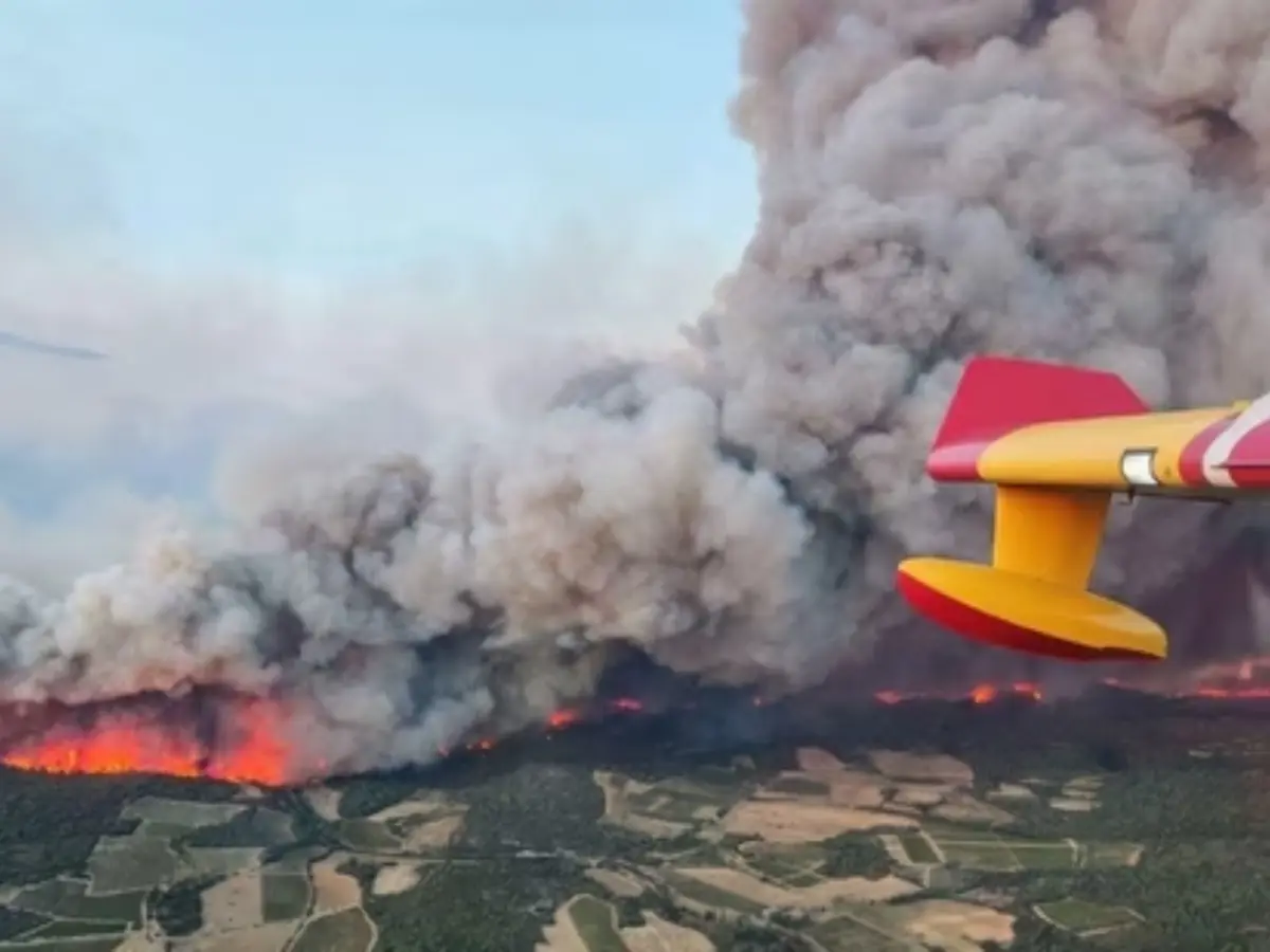 France's largest wildfire in decades