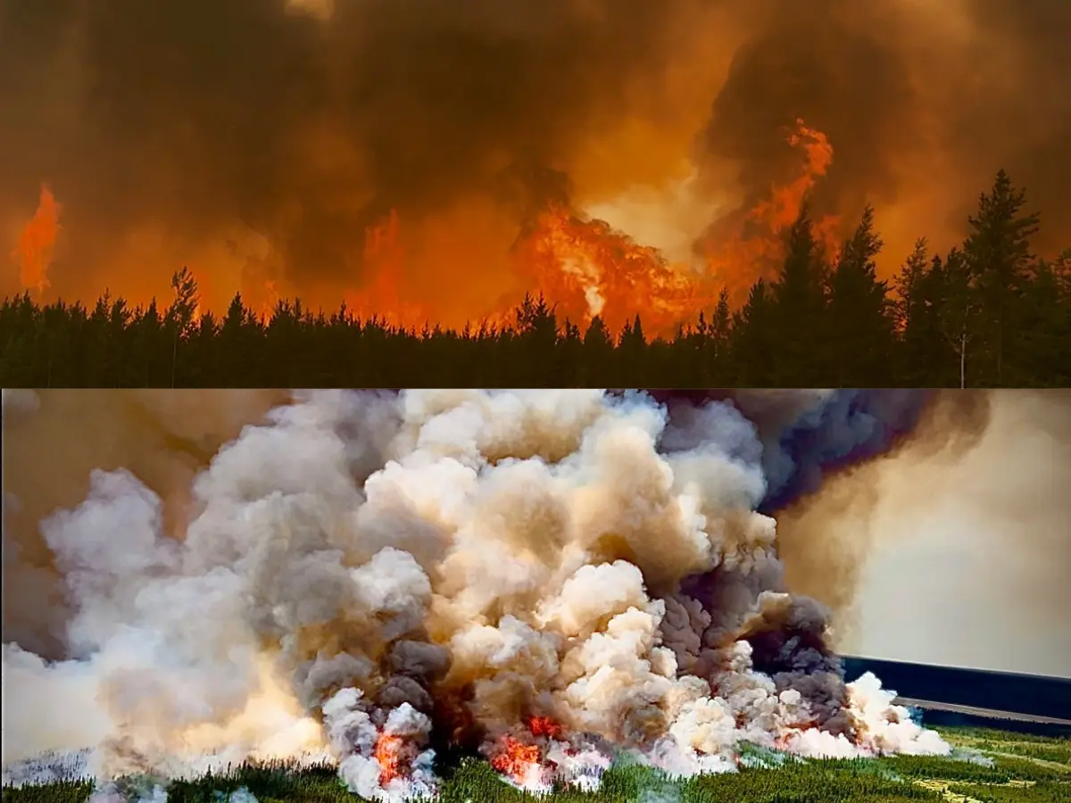 Canada's 'wild' wildfires