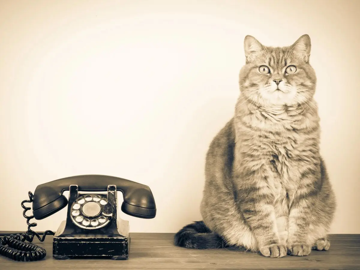 Mind control psychic ops, Cold War condom-drop, Acoustic kity, Fidel Castro assasination – 19 shockingly bizarre, real and declassified CIA operations