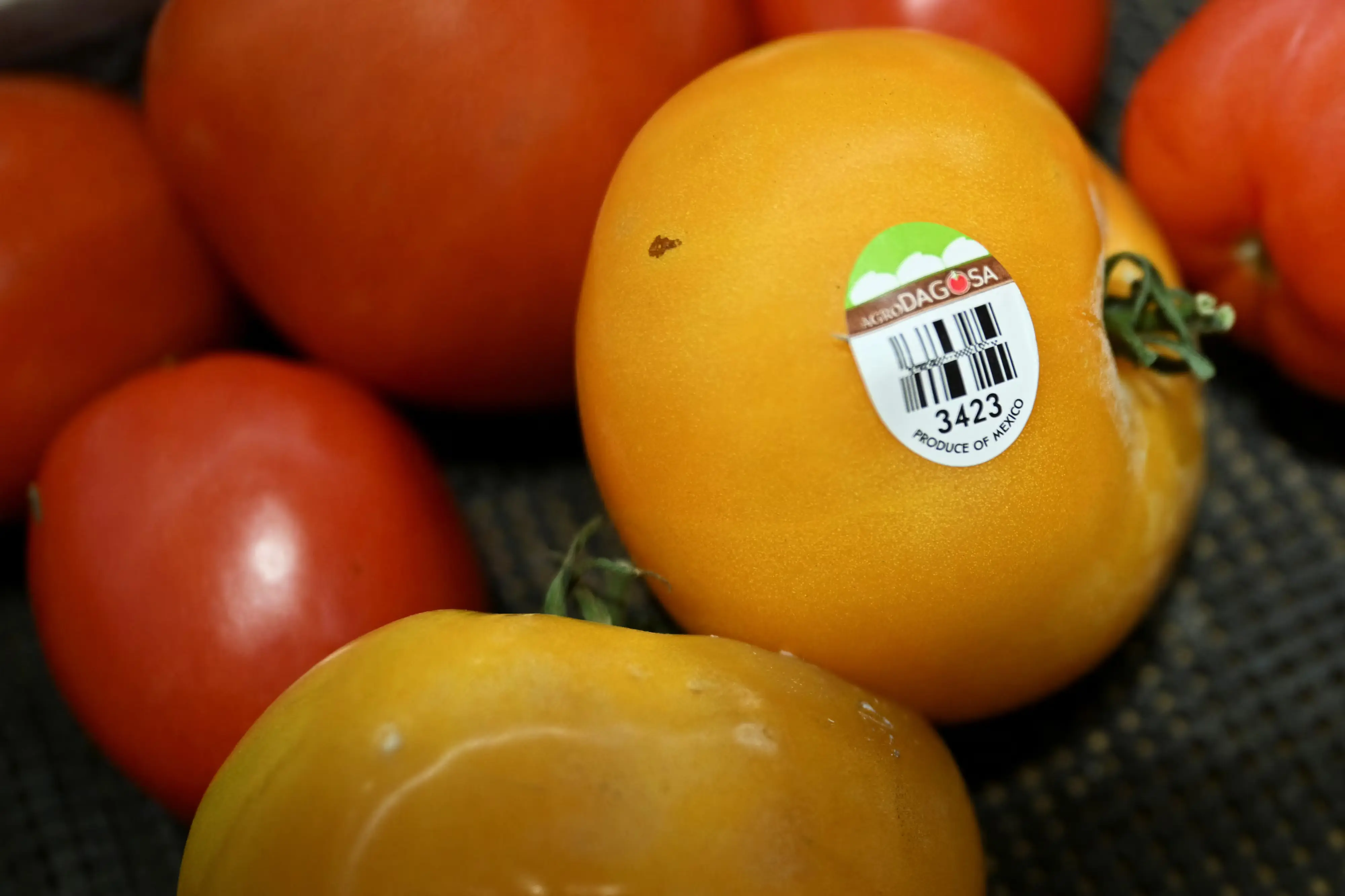 Mexico hikes tomato export prices to dodge Trump’s 17% tariff