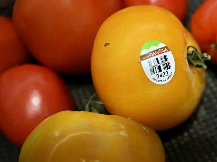 Mexico hikes tomato export prices to dodge Trump’s 17% tariff