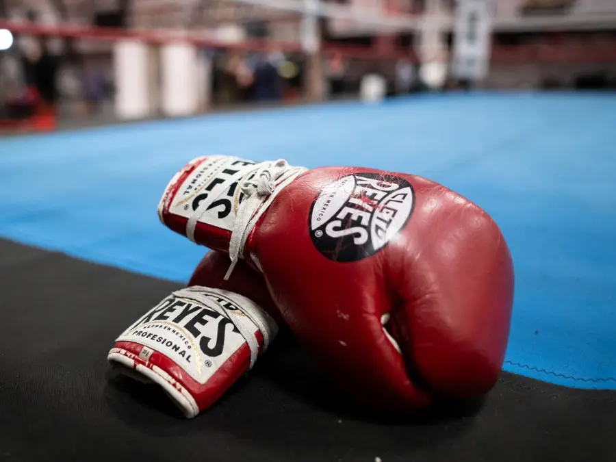 SHOCKING! Two Japanese boxers die of brain injuries at same Tokyo event