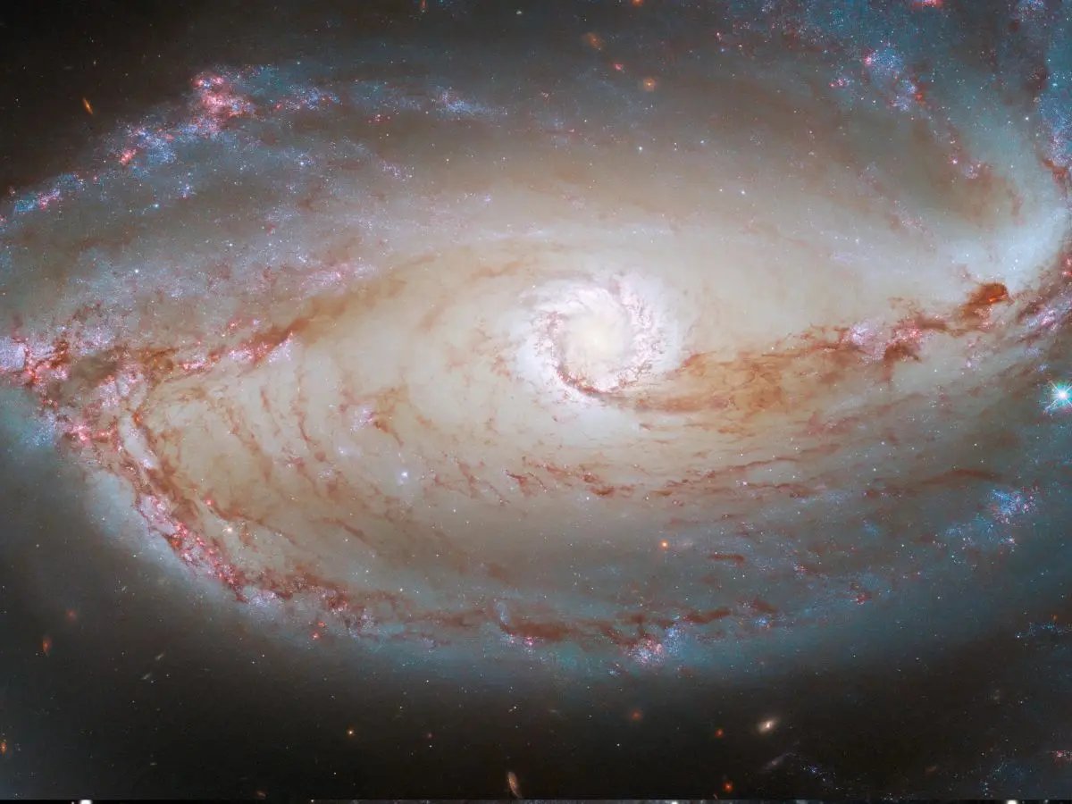 Implications for binary star evolution