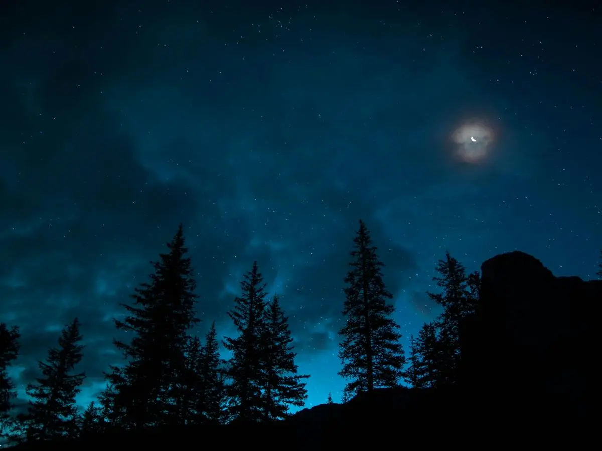 Why Darkness Matters for Stargazing