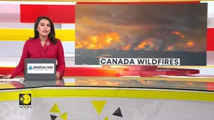 Canada Faces Second Worst Wildfire Season on Record 