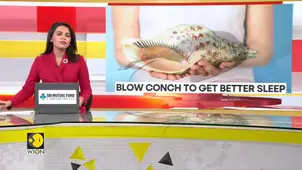 Conch blowing leads to 34% less sleepiness during the day