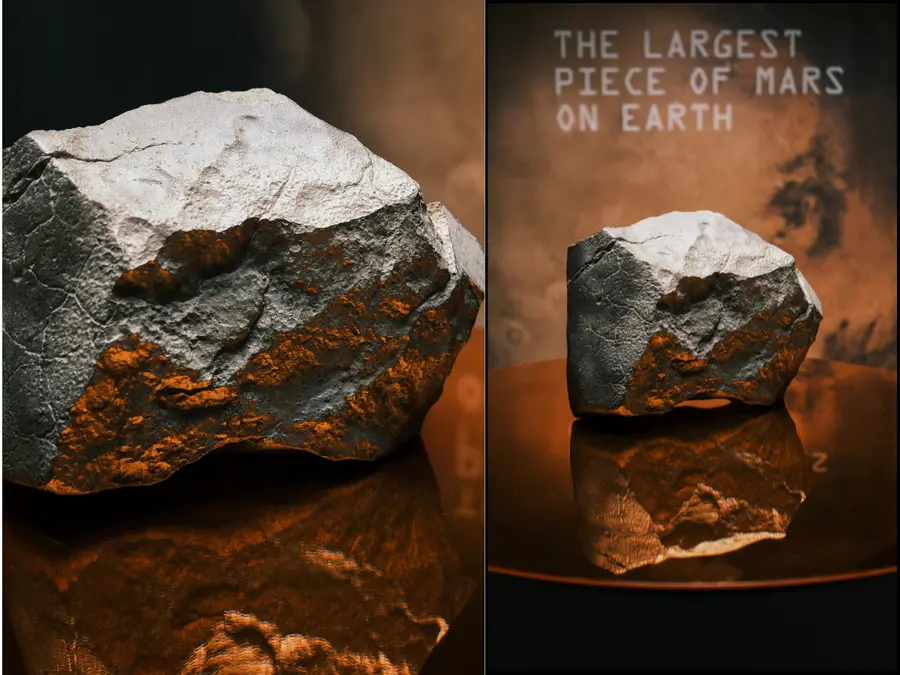 A Martian scandal: Niger wants the $5million Mars rock, biggest  ever seen on Earth, back. What do the laws say?