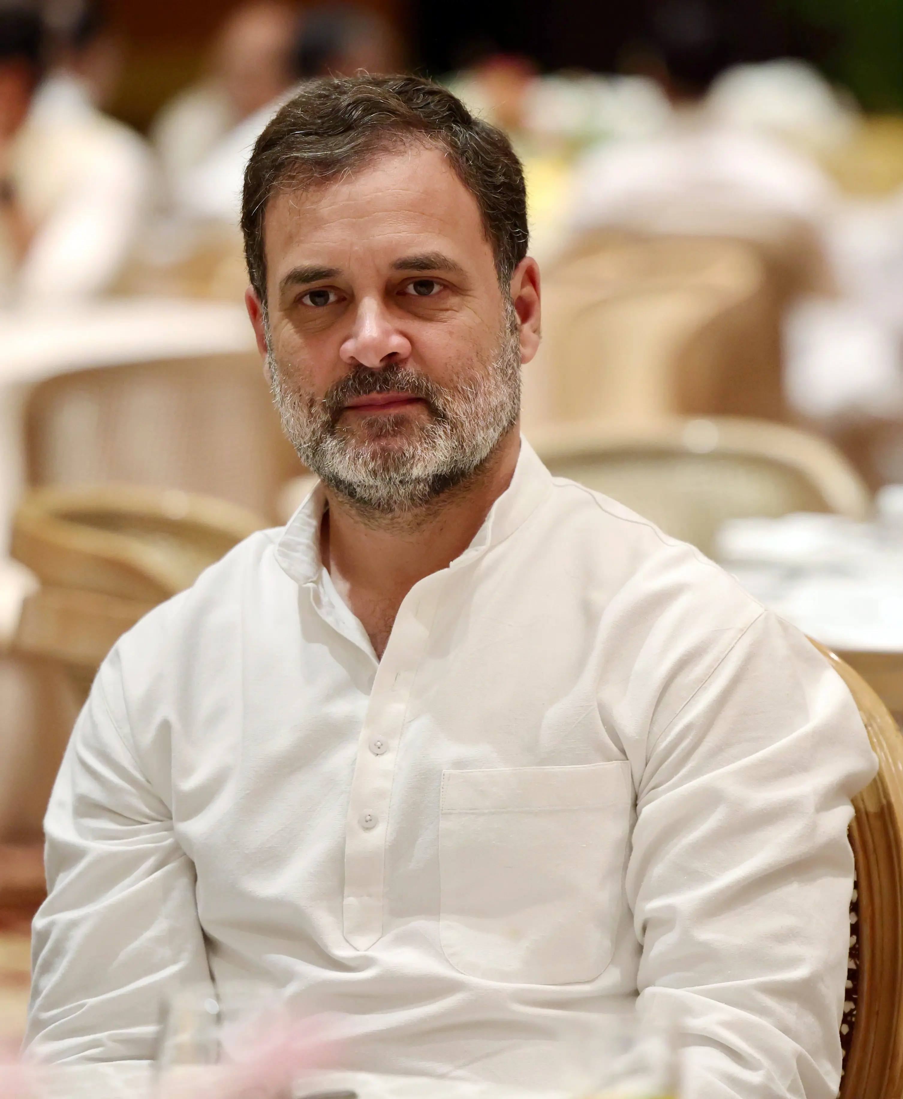 Blanket removals are cruel': Rahul Gandhi backs stray dogs after Supreme  Court's order