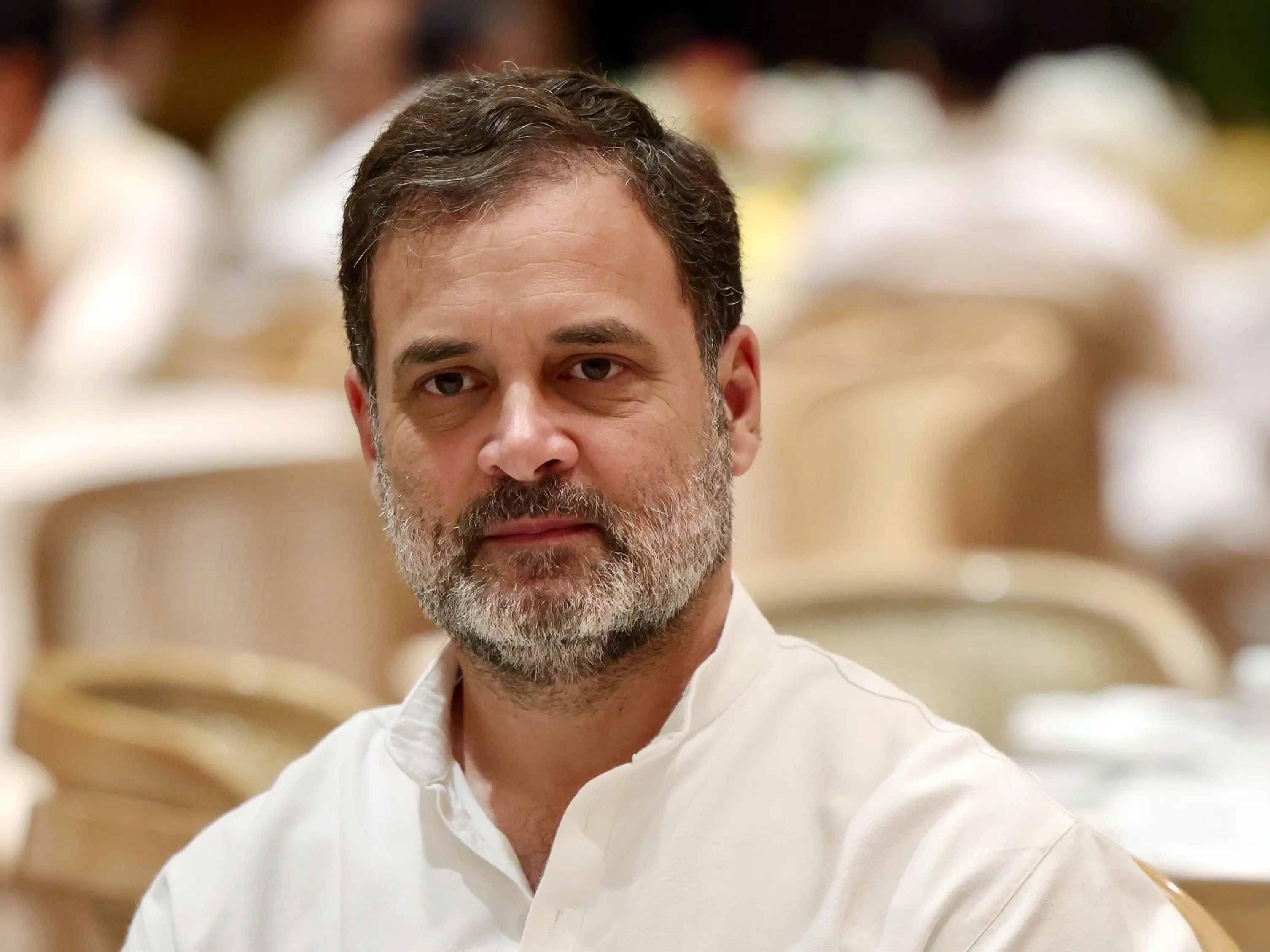 Blanket removals are cruel': Rahul Gandhi backs stray dogs after Supreme Court's order