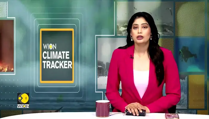 WionNews Video