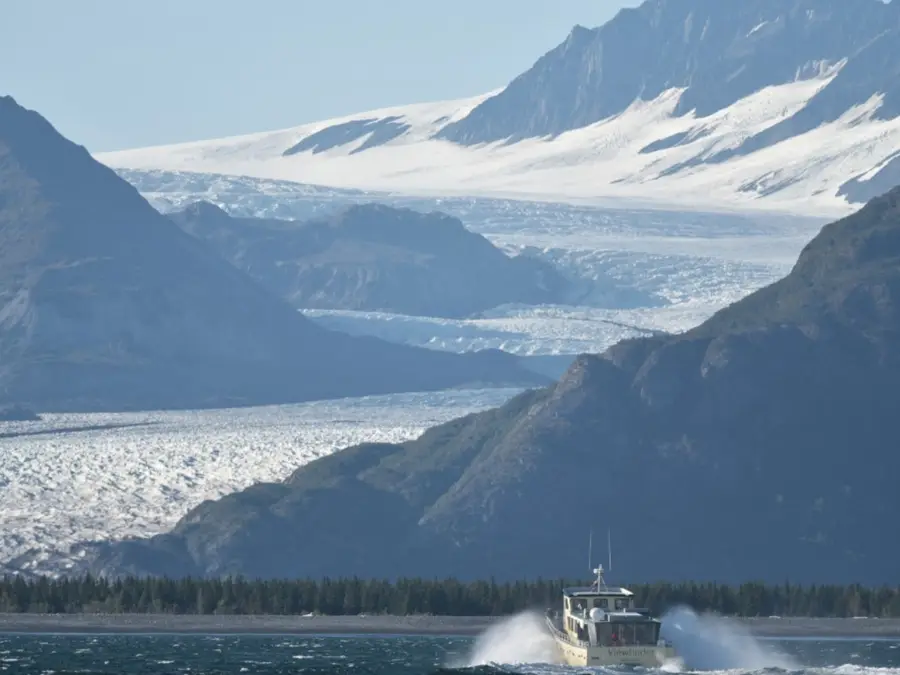 100-foot tsunami silently strikes Alaska fjord after rock as big as 40,000 Olympic-sized swimming pools crashes into sea