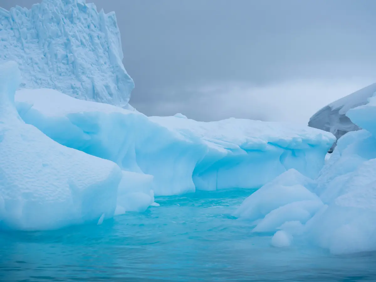 Drastic difference between East Antarctica and West Antarctica