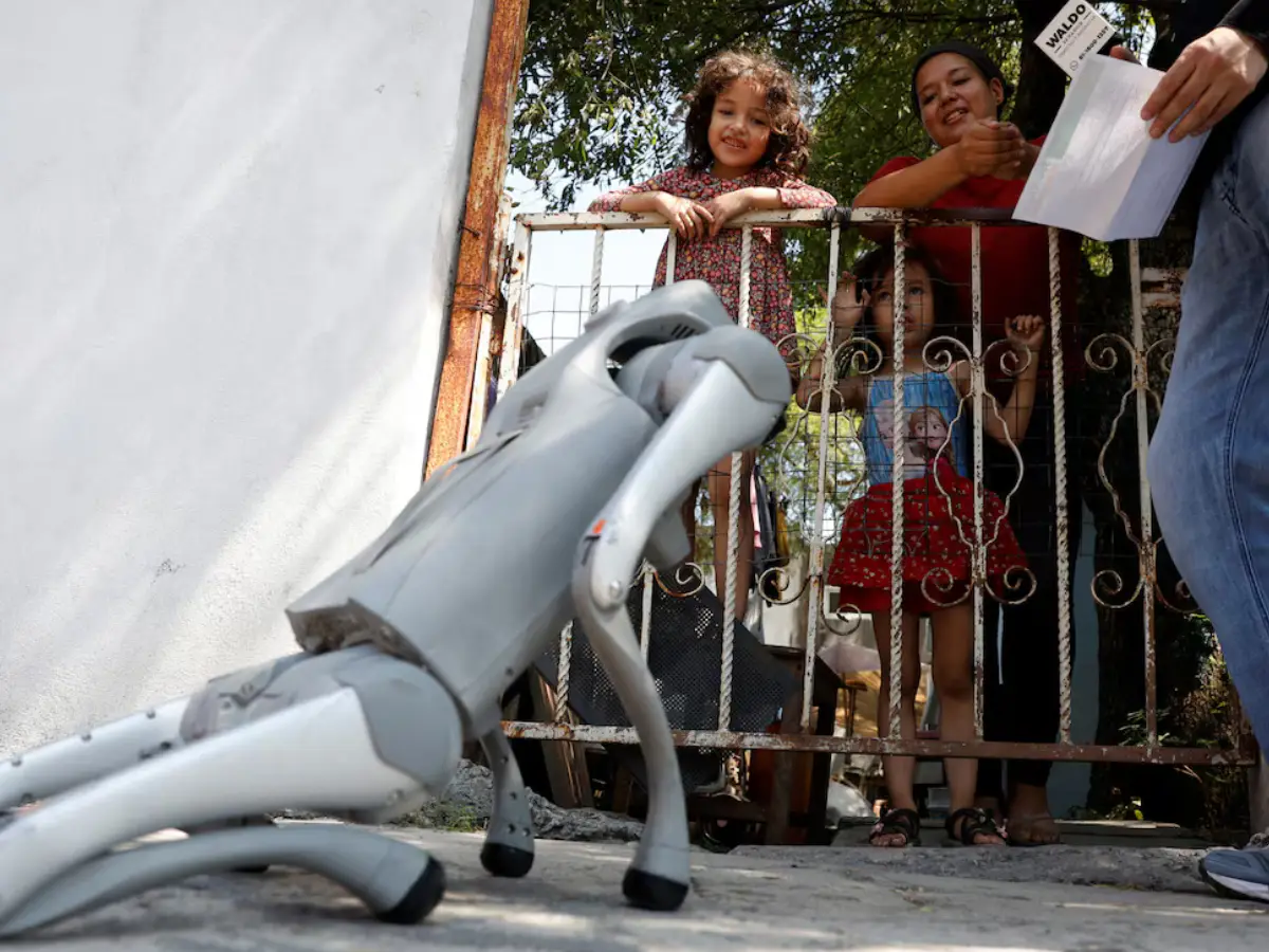 As fate of stray dogs hangs in balance in India, this AI robot dog in Mexico teaches kindness As fate of stray dogs hangs in balance in India, this AI robot dog in Mexico teaches kindness