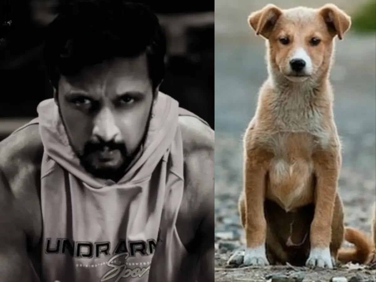 Kichcha Sudeepa urges to adopt dogs after SC order: 'They didnt choose..'