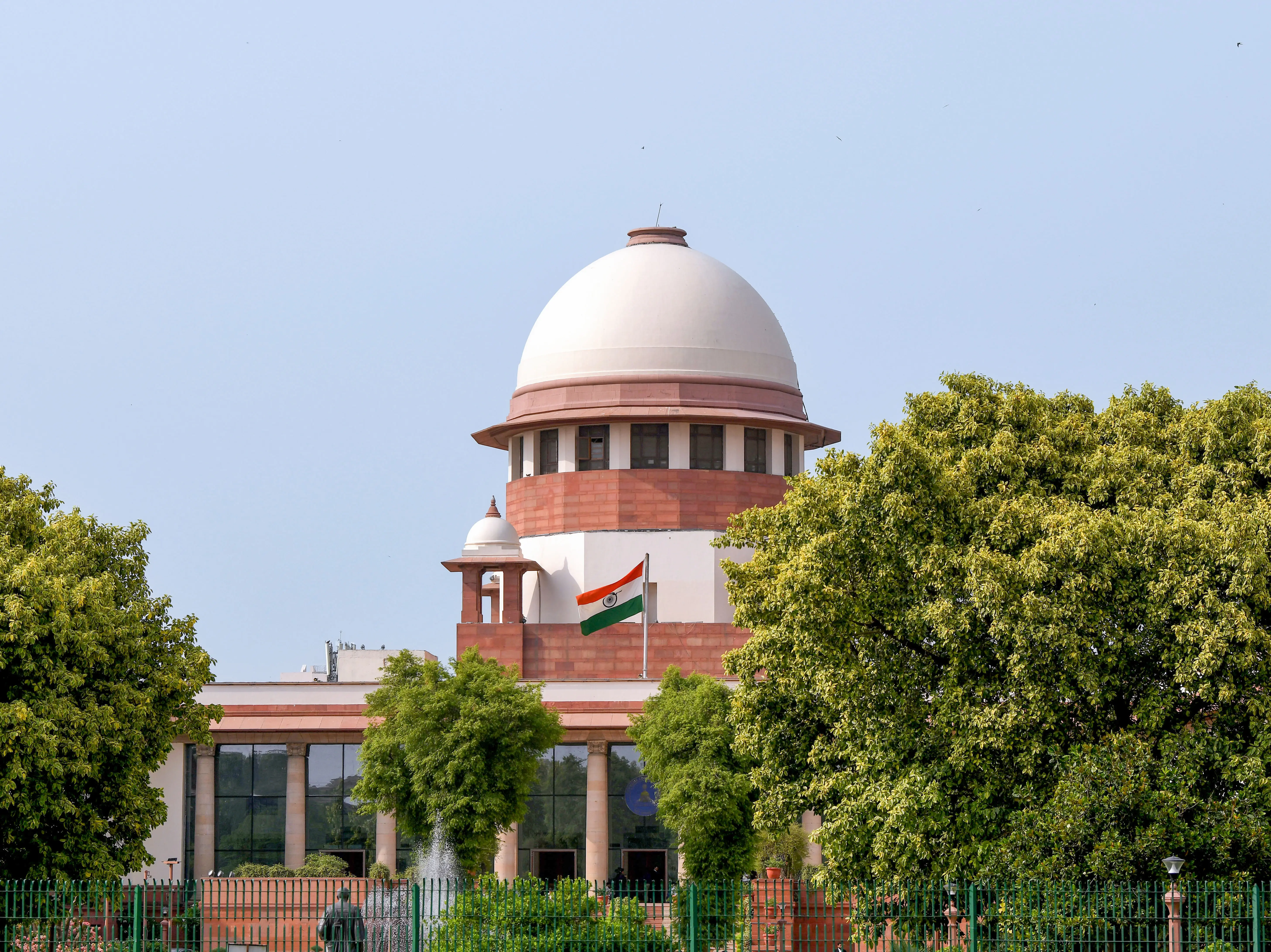 3-judge Supreme Court bench to examine Delhi stray dog matter tomorrow