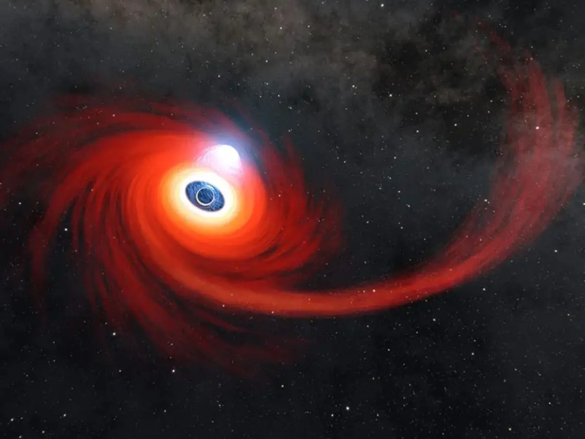 Could black holes allow backwards time travel?