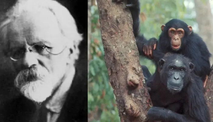 What happened when a Soviet scientist tried to create human-ape super soldiers?