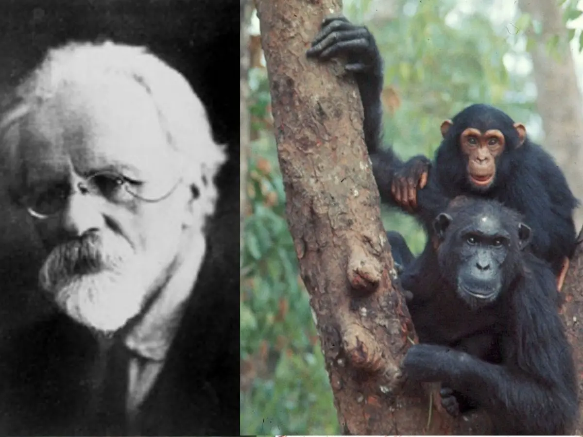 What happened when a Soviet scientist tried to create human-ape super soldiers?