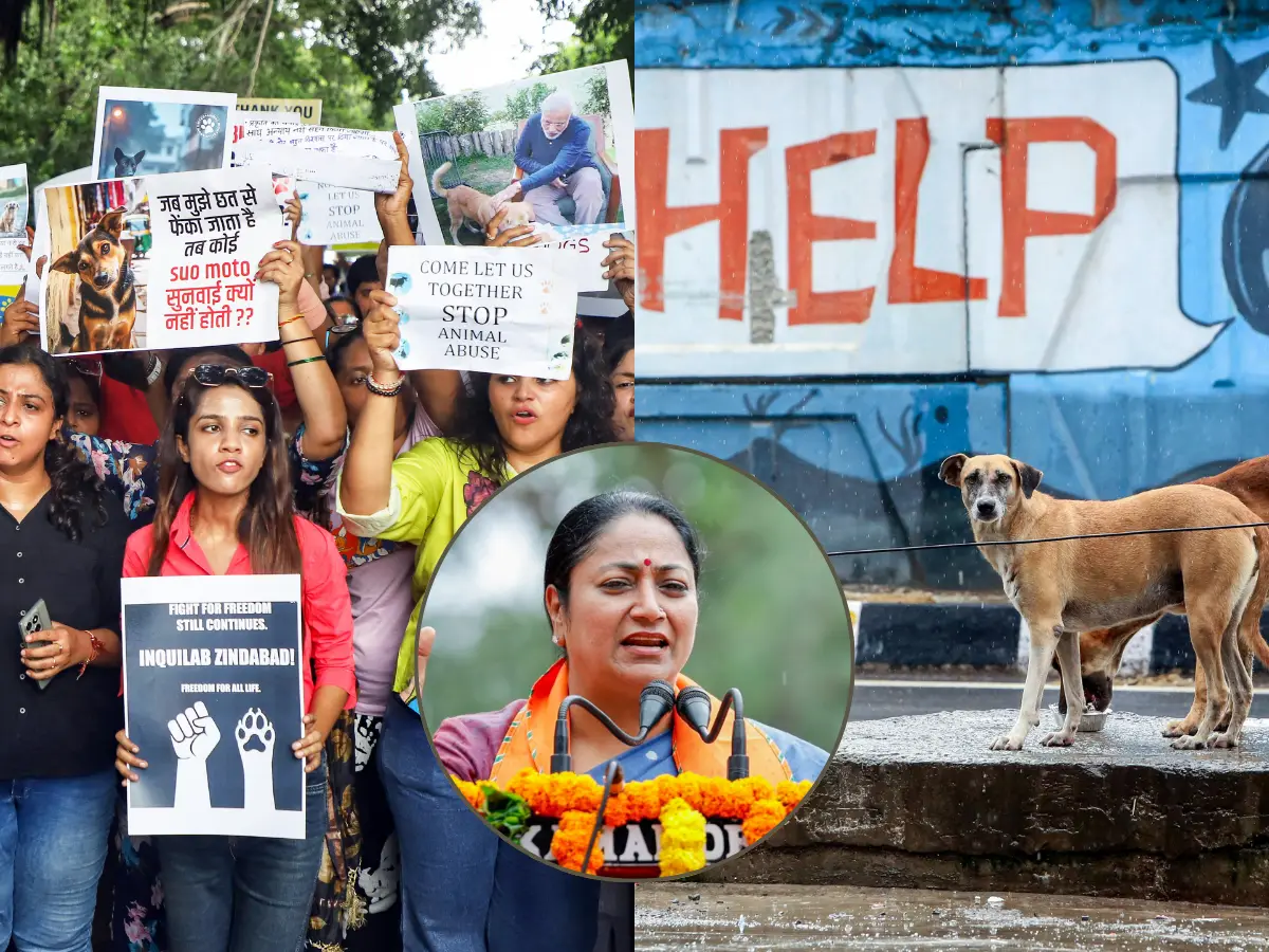 SC vs strays: Delhi CM Rekha Gupta caves to animal lovers' pressure, stops 'harsh action' on street dogs