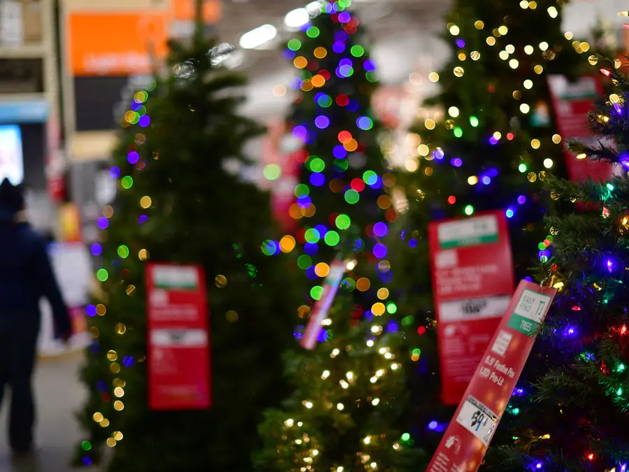 China tariff delay fails to save US Christmas shopping season