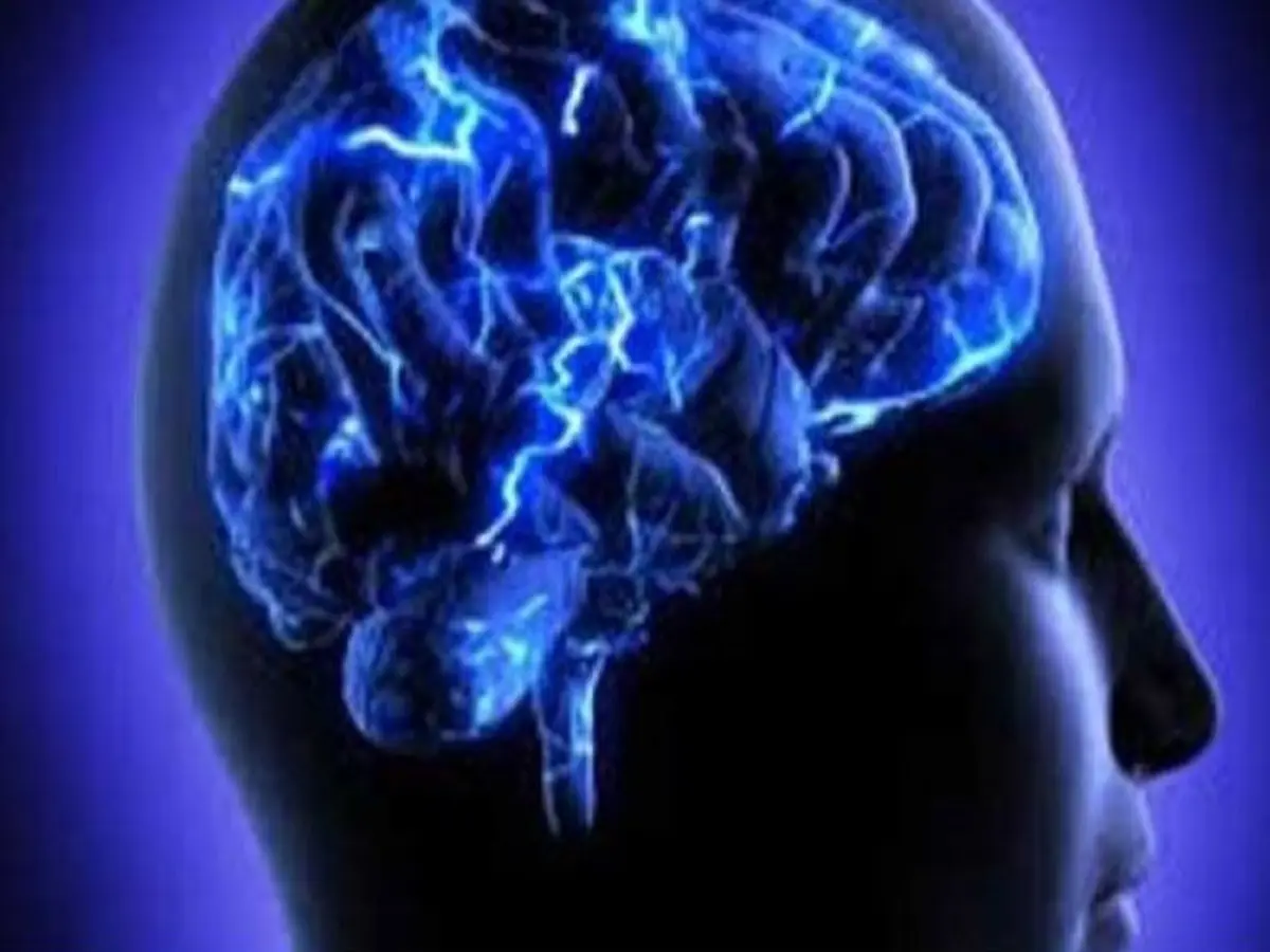 Green Tea and Vitamin B3 May Help Fight Alzheimer's