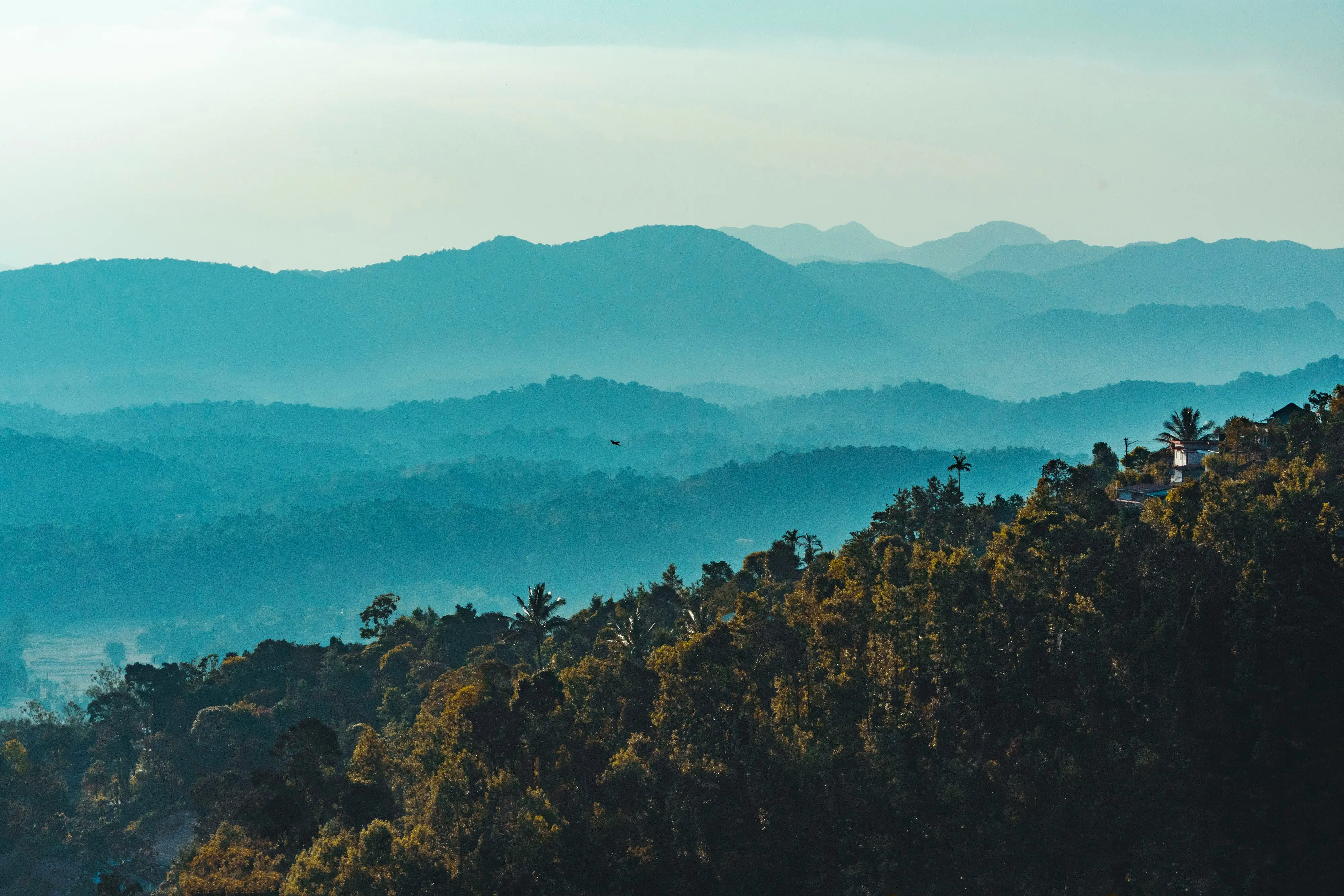 5. Coorg, Karnataka