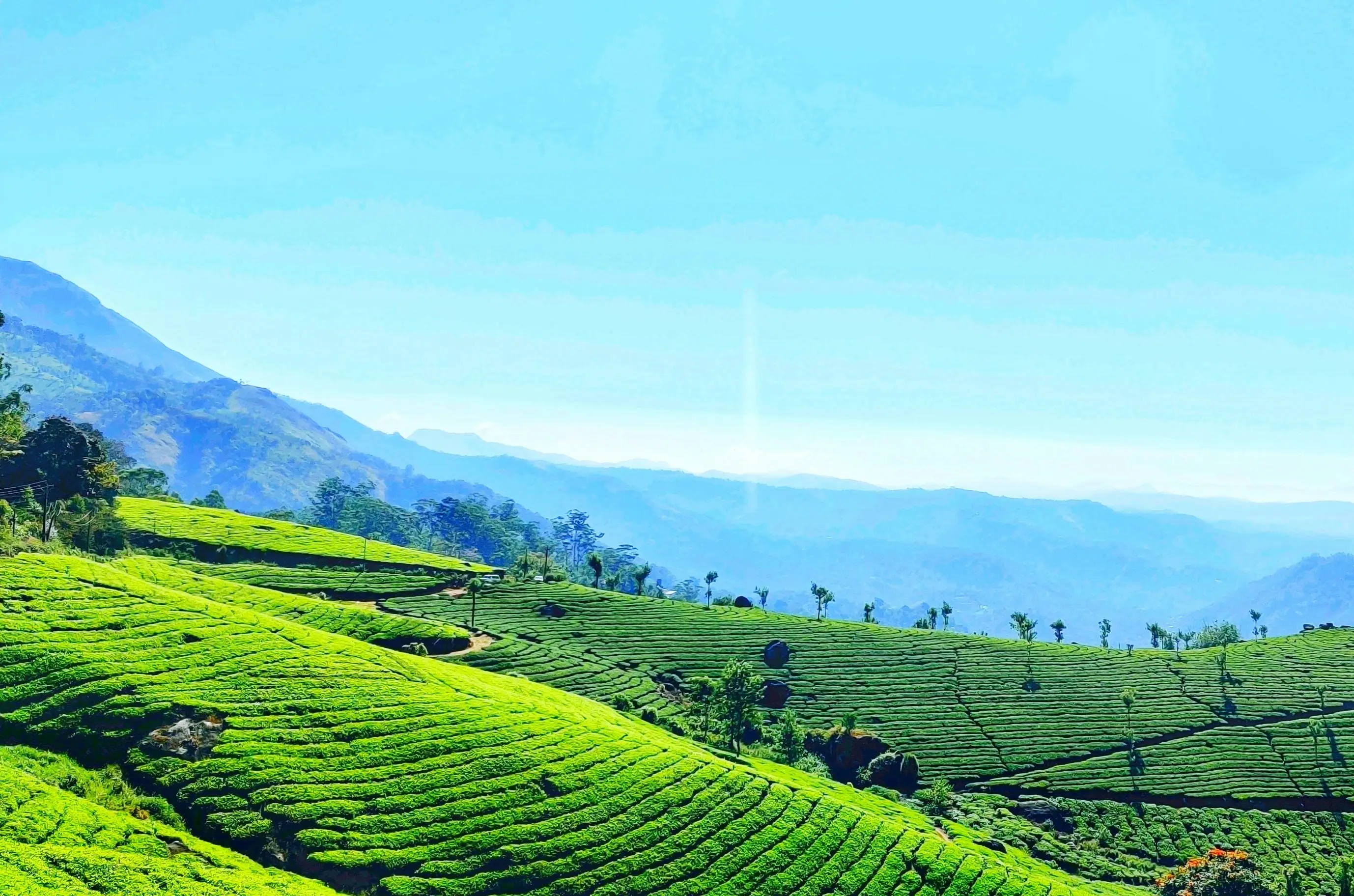 4. Munnar, Kerala
