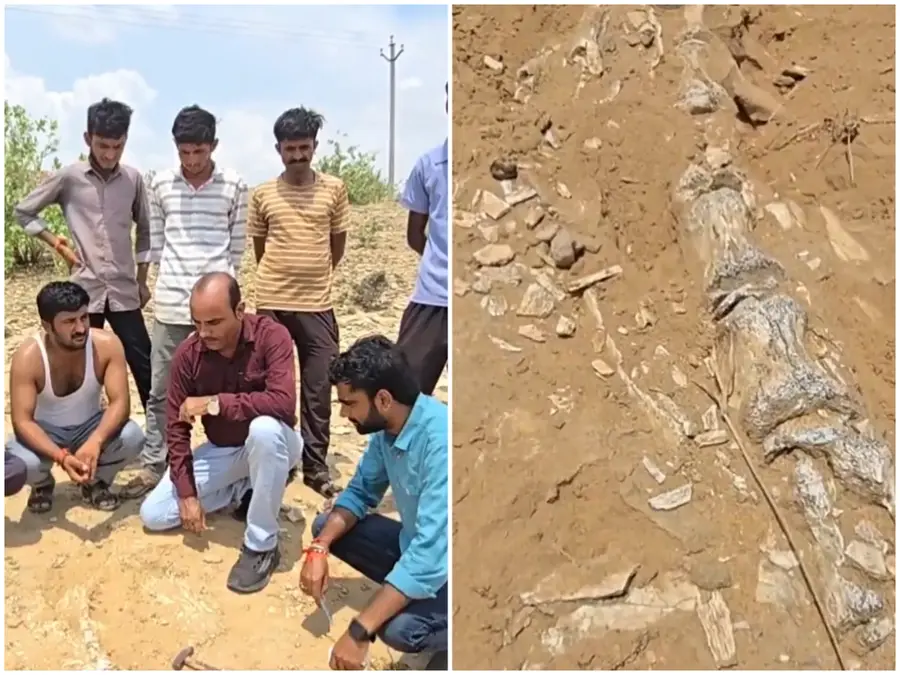 Dinosaur-era fossil? Suspected large skeletal structure unearthed in Rajasthan’s Jaisalmer