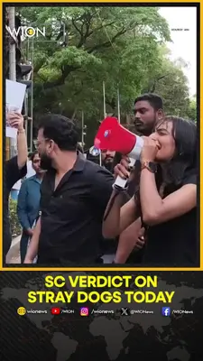 Wion News