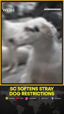 Wion News