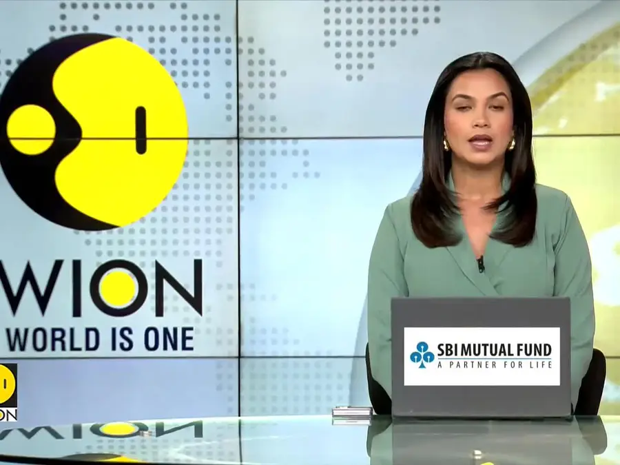 India's top court: no feeding of stray dogs on streets, rabid dogs not to be released 