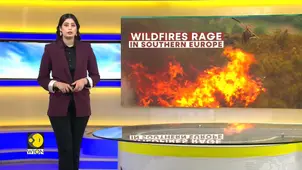 Europe Wildfires: Early 400,000 Hectares Burned in 2025 Across Spain