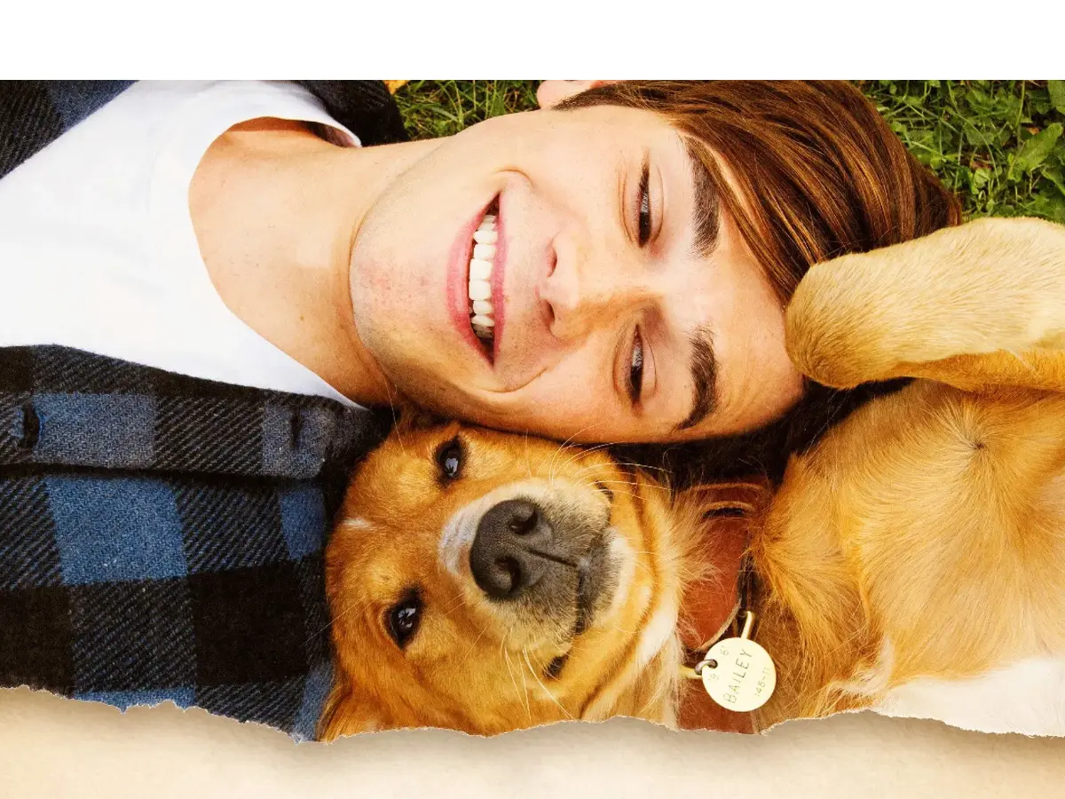 A Dog's Purpose