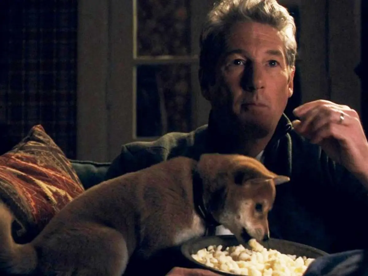 Hachi: A Dog's Tale