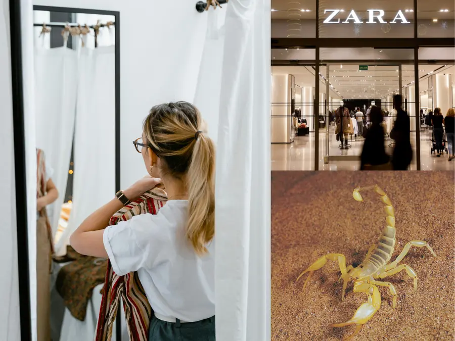 What this student found in a Zara fitting room is every shopper’s worst fear. Hint: It has a sting like 'sharp glass or a knife'