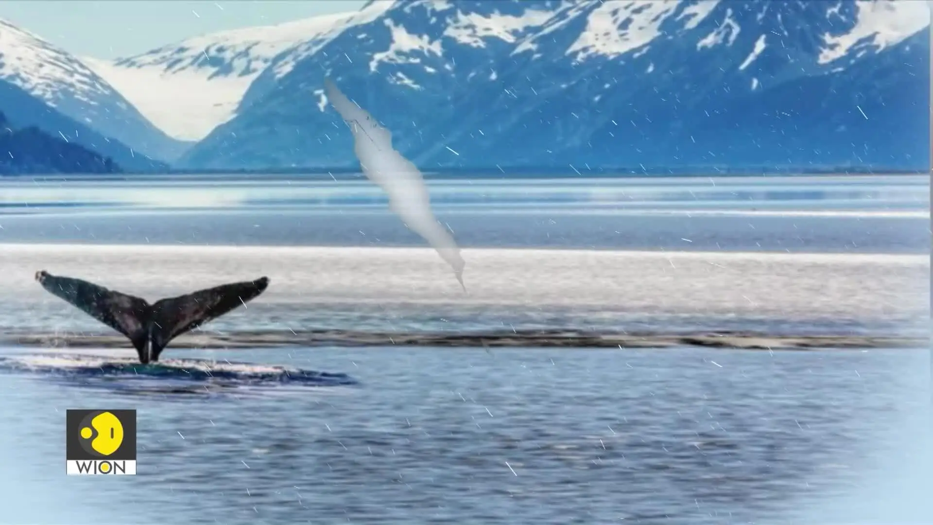 Inside Alaska, once a Russian territory | Decoding America’s Arctic ambitions