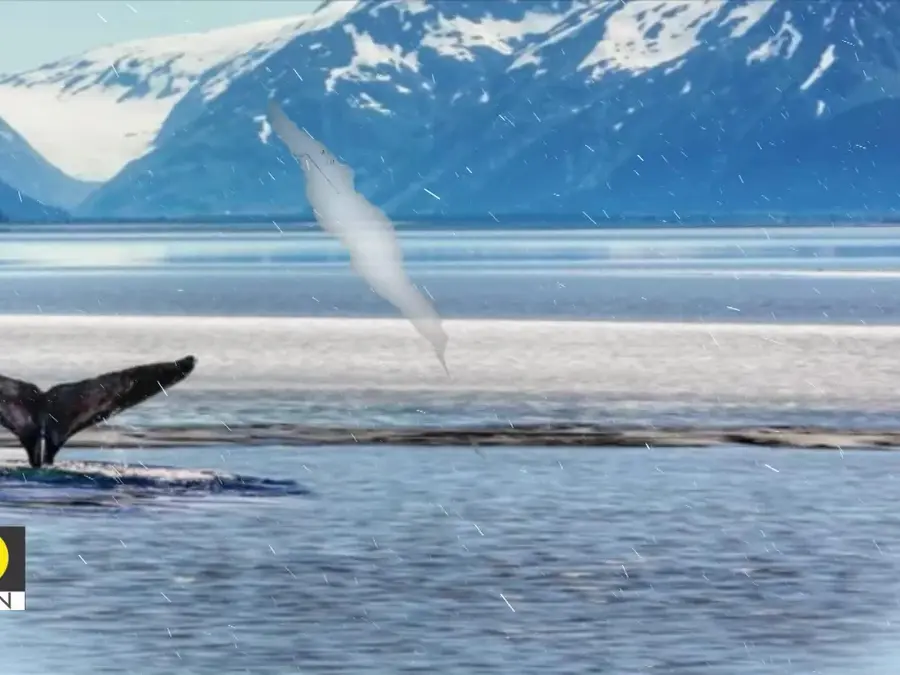 Inside Alaska, once a Russian territory | Decoding America’s Arctic ambitions