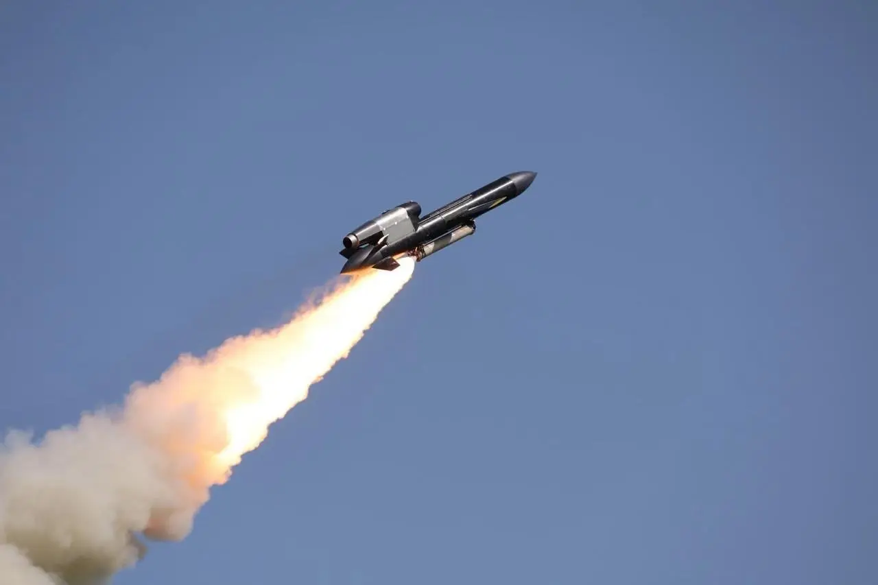 ‘Big d*** energy’: Ukraine’s new 'Flamingo' missile can strike 3,000km into Russia - Here’s why it matters