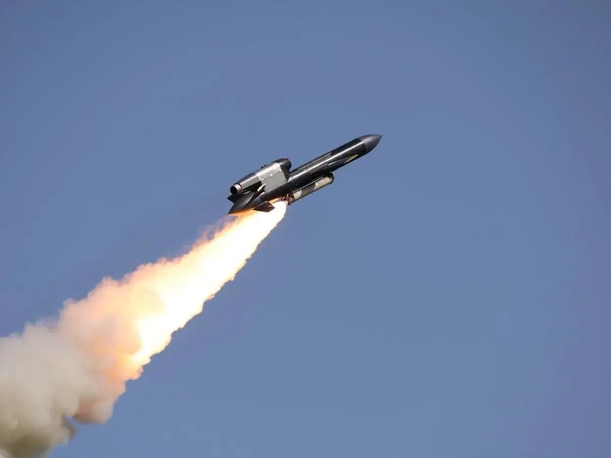 ‘Big d*** energy’: Ukraine’s new 'Flamingo' missile can strike 3 ...