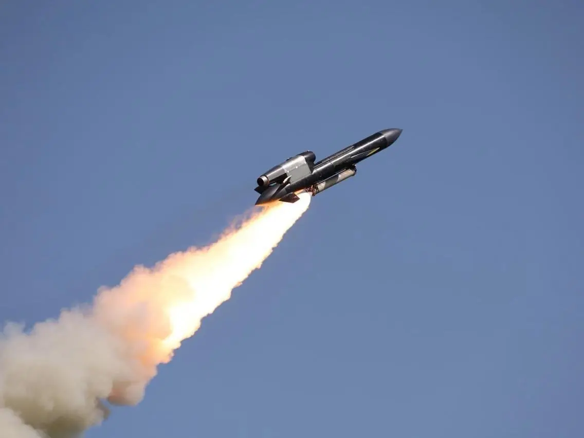 ‘For today’s war and tomorrow’s security’: Ukraine’s new Flamingo missile is the gift that will keep on giving ‘For today’s war and tomorrow’s security’: Ukraine’s new Flamingo missile is the gift that will keep on giving