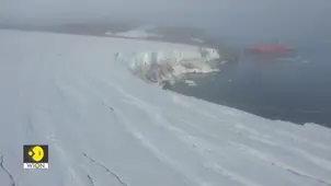 What Type of Cargo is Exported From Murmansk to India? 