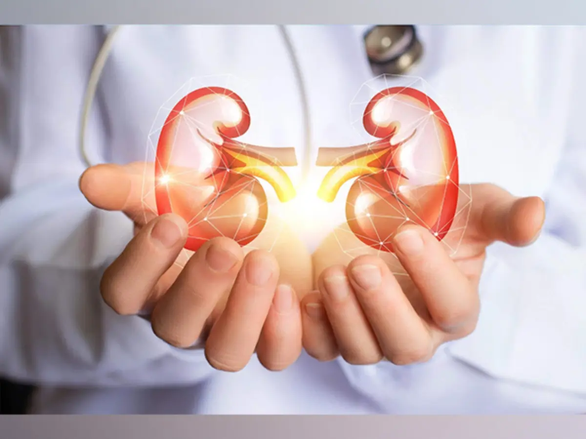 Lab-grown kidney survives 34 weeks, Israeli hospital seeks more funding from China