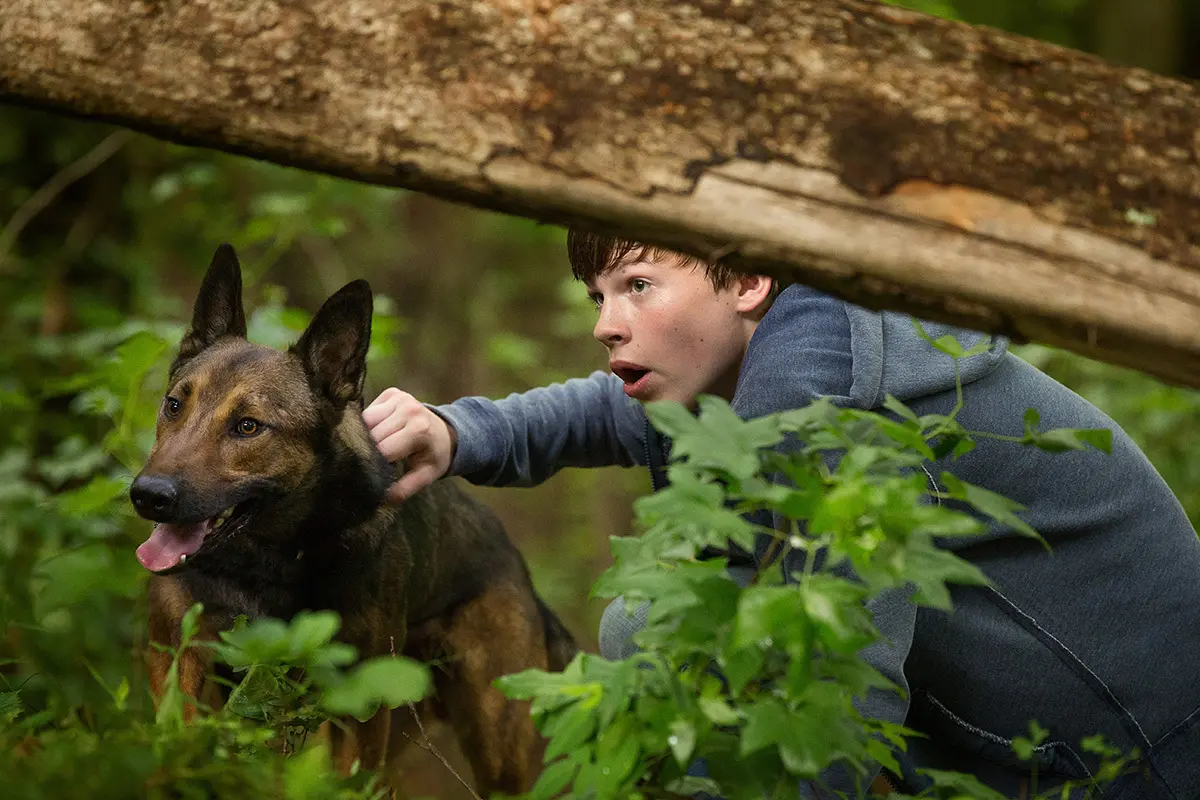 Max (2015)