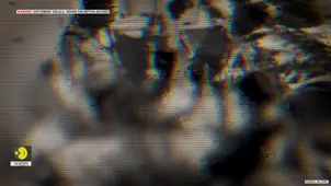 Israel Bombs Gaza's Nasser Hospital | Journalists, Medics Killed In 'Outrageous' Attack 