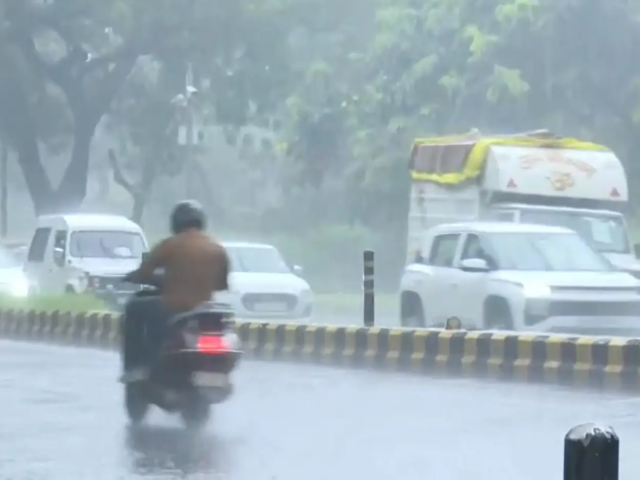 Delhi records wettest August in over a decade? Know what the IMD data says Delhi records wettest August in over a decade? Know what the IMD data says