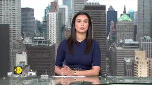 Kyiv: Three Dead in Russian Strikes | Democrats Slam Trump's India Tariffs | WION Headlines