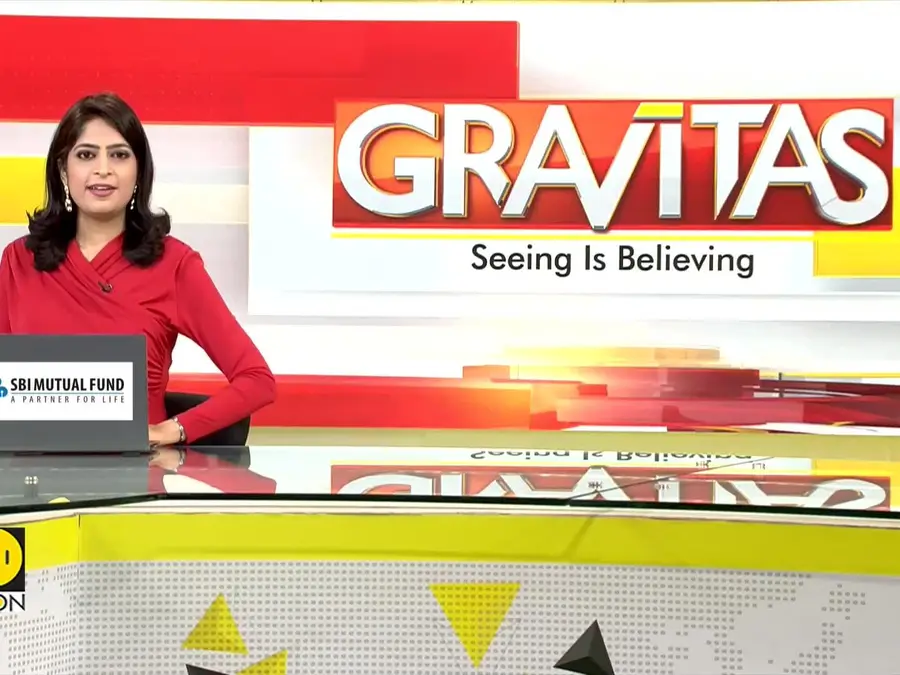 Hydrotherapy Can Help Your Dog Lose Weight 